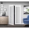 Renin 36 in. x 80 1/2 in. Euro 1-Lite Design Pivot Door PV5401BWFGC036080 - alternate 2